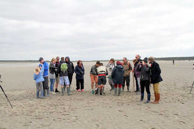 Baie de Somme