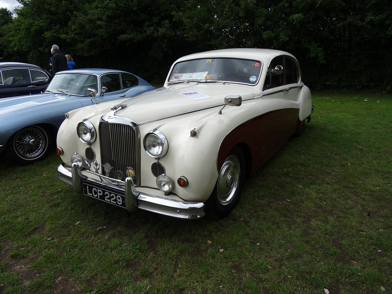 d12bjun152019 (1142)