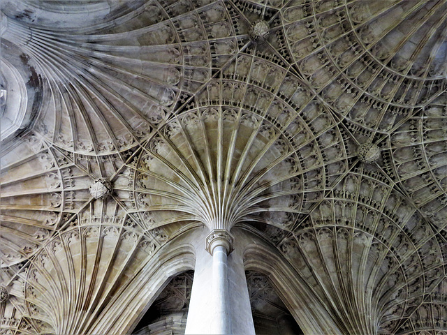 peterborough cathedral (15) c16 fan vaulting in retrochoir