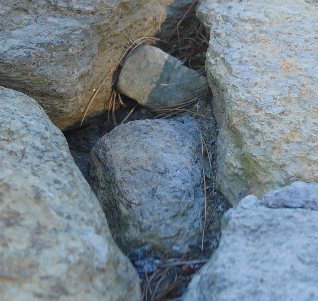 Nesting Rocks