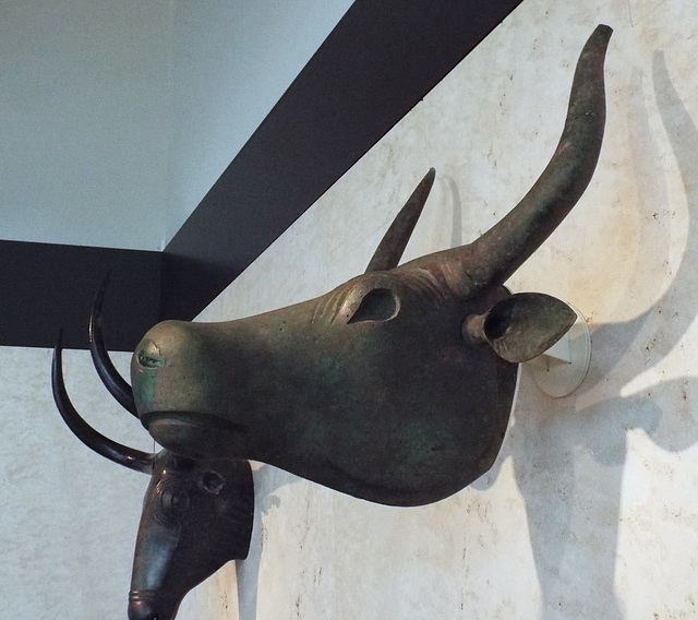 Bulls from Costitx in the Archaeological Museum of Madrid, October 2022