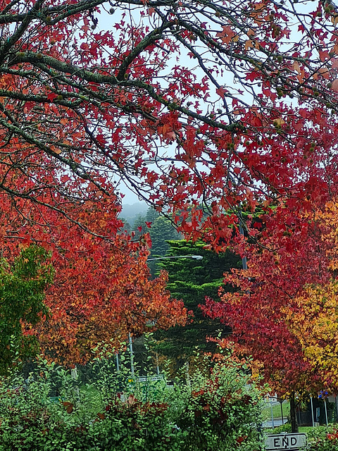 First day of winter Adelaide hills