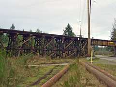 Mt. Rainier Scenic Railroad