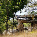 Marcilhac sur Cele - Dolmen de Combes-Hautes