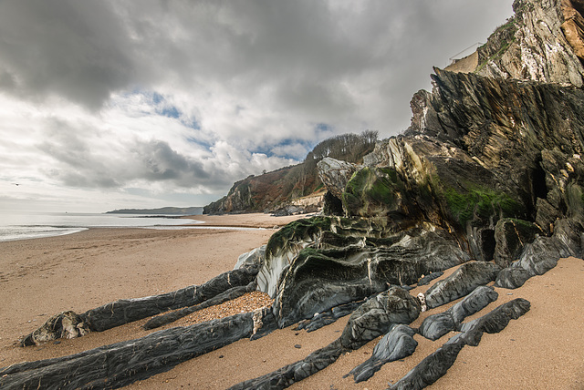 Beesands -20190319