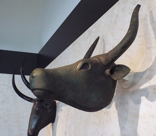 Bulls from Costitx in the Archaeological Museum of Madrid, October 2022