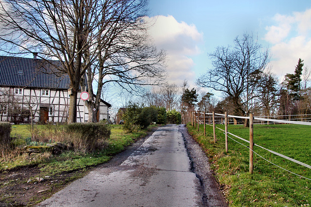 Am Hülsey (Wetter) / 25.02.2023