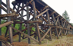 Mt. Rainier Scenic Railroad