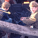 31 Timber fuel