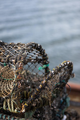 Don't get trapped ! Don't get trapped !