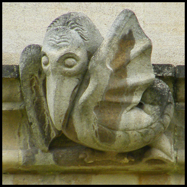 pelican grotesque