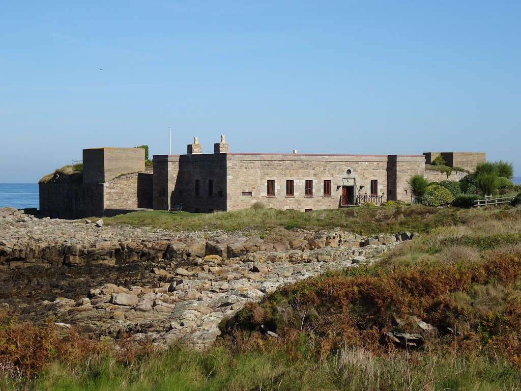 aysep2019ambas (1266)