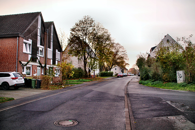 Grillostraße (Unna-Königsborn) / 26.11.2022