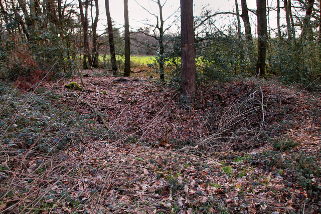 Pinge am Hülsey (Wetter) / 25.02.2023