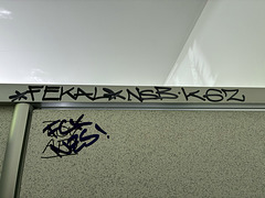 fek al nacisocialist banditoj