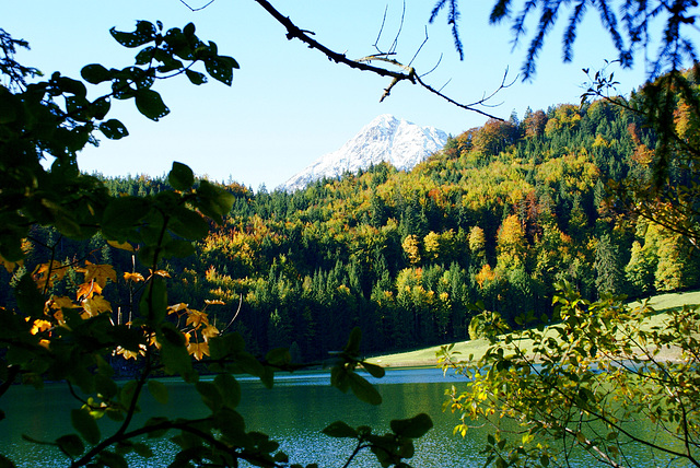 Alatsee mit seiner Wiese und dahinter der Vilser Kegel... ©UdoSm