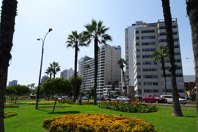 Watering The Flowers In Miraflores