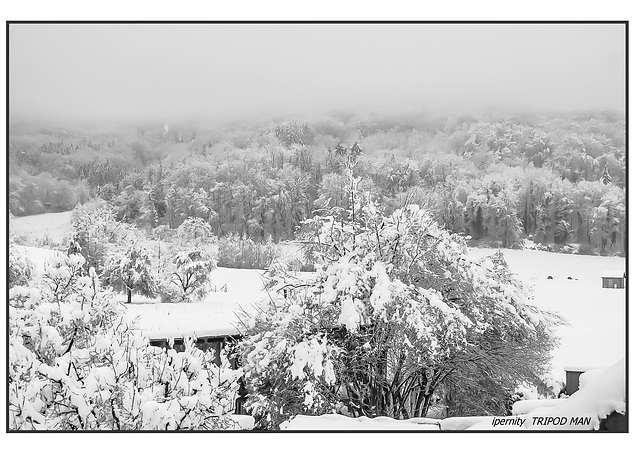 Blick aus dem Fenster