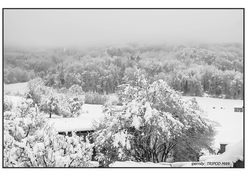 Blick aus dem Fenster