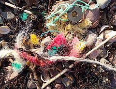 Flotsam/jetsam