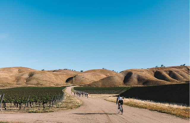 Riding through Cass Vineyard after control