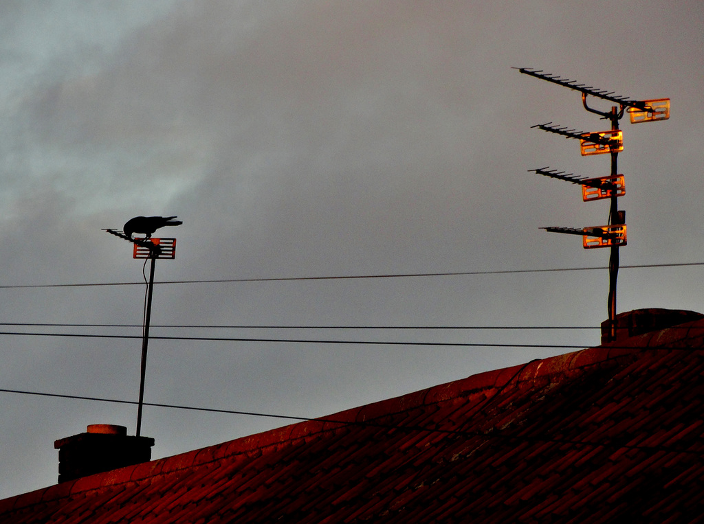 2 Chimneys