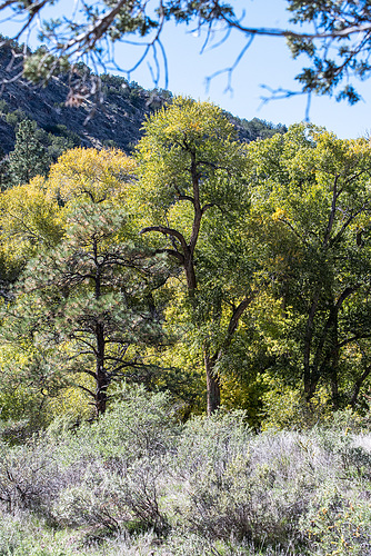 Bandalier National Monument.14