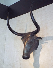Bulls from Costitx in the Archaeological Museum of Madrid, October 2022