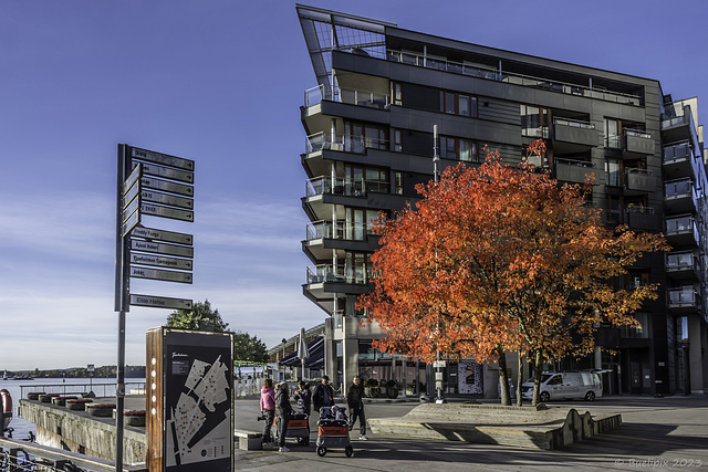 Herbst in Oslo (© Buelipix)