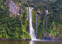 Fiordland - Milford Sound