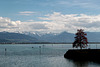 View on the Alps