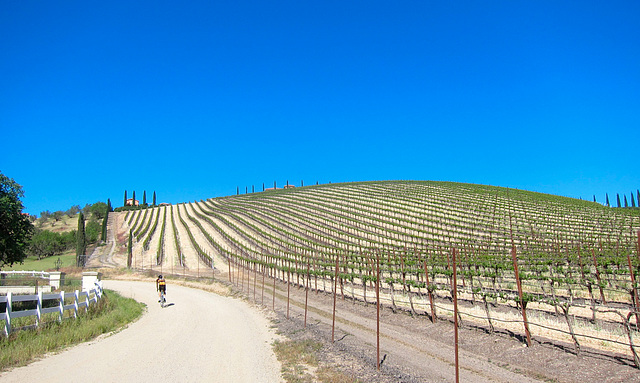 Heading toward Olea Farm, 2nd control and refreshment stop