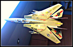 F-114 Tomcat, 2