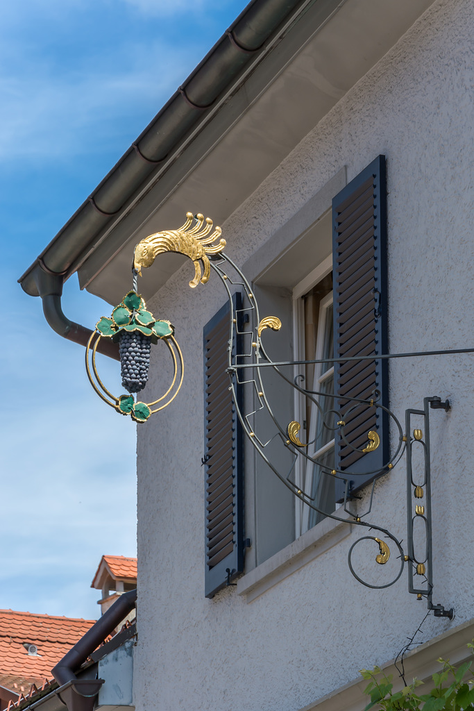 Nasenschild am Hotel "Blaue Traube" in Wangen im Allgäu