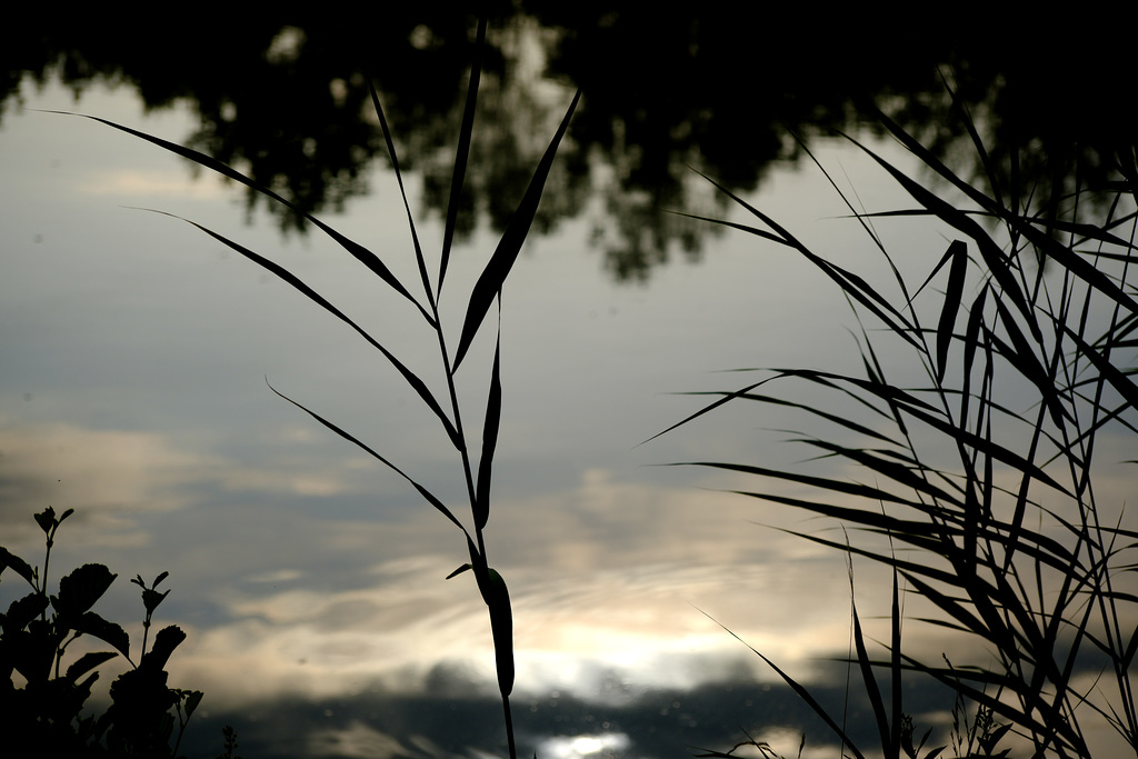 Am Abend