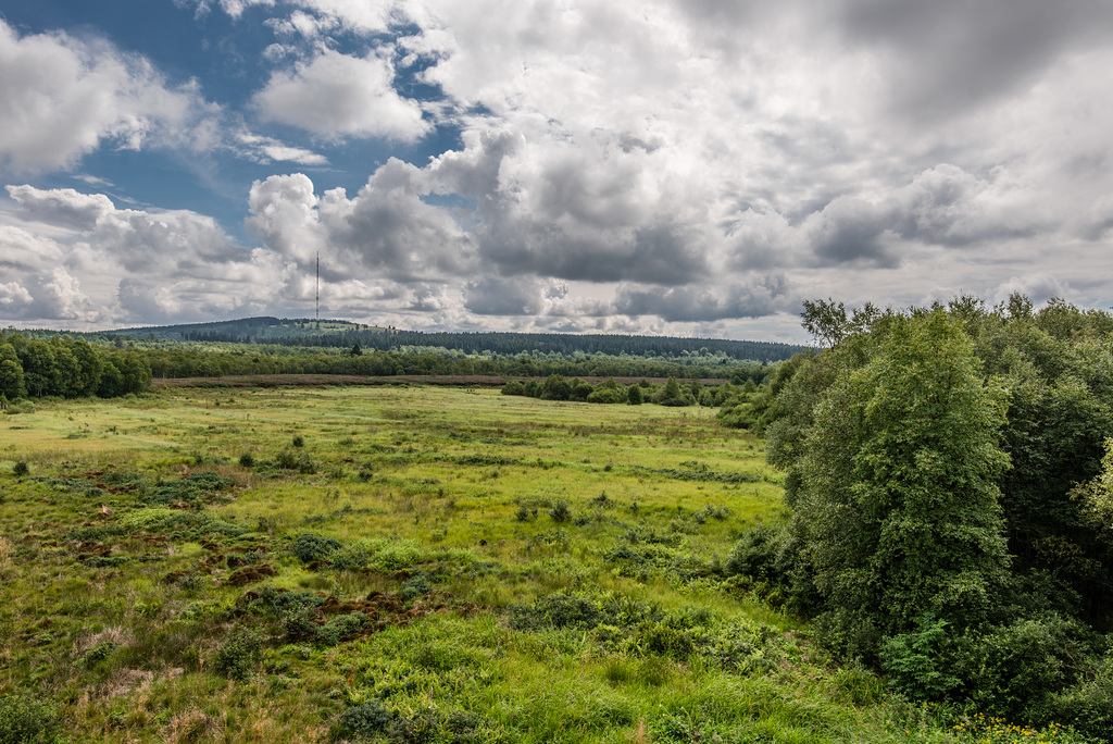 Rotes Moor - 20150815