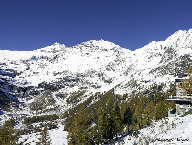 Auf der Alp Grüm