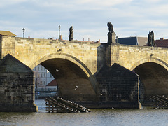 Le pont Charles, 4.