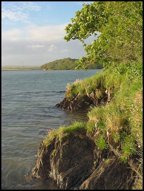 Tamar shoreline