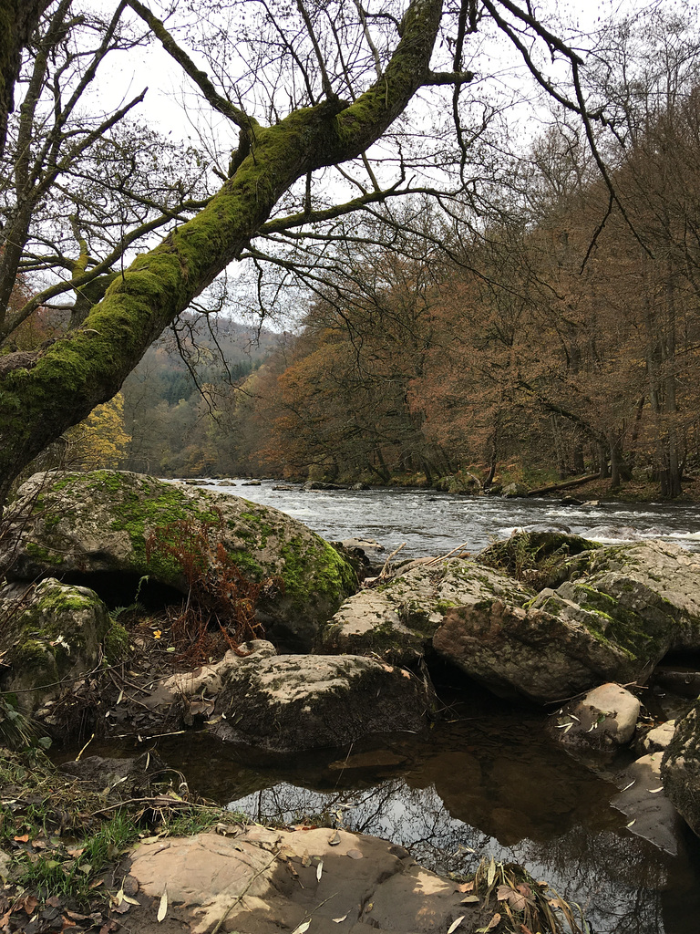 Vallée de l'Amblève