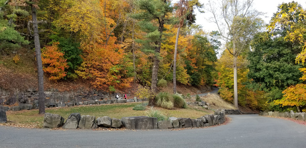 Autumn Kings Wood Alpine  The palisades