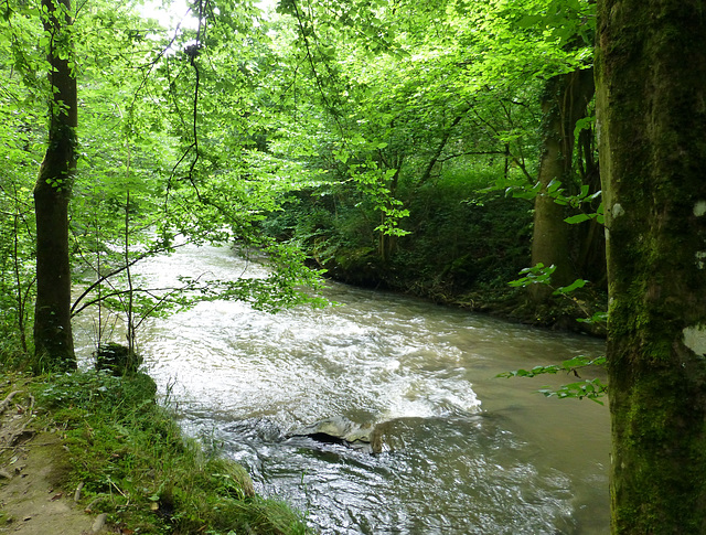 Auf dem Traumpfad Pyrmonter Felsensteig