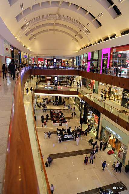 Dubai Mall scene