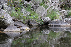 Contemplative Pool