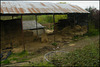 barn at Milton Abbas