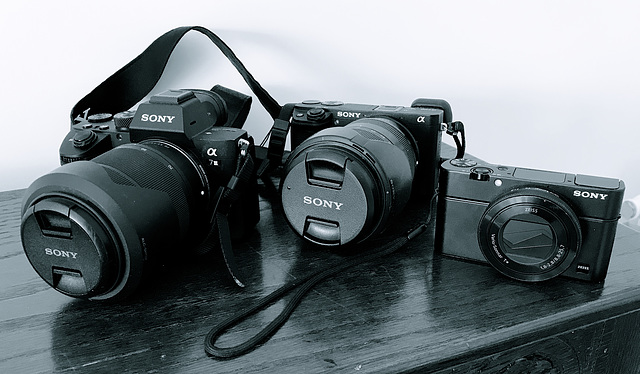 SONY family