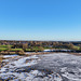 Doley Brook iced over