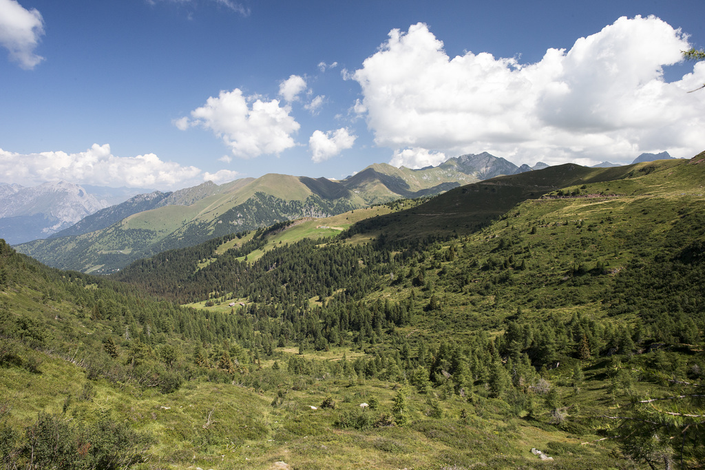 Crocedomini, Brescia - Italia