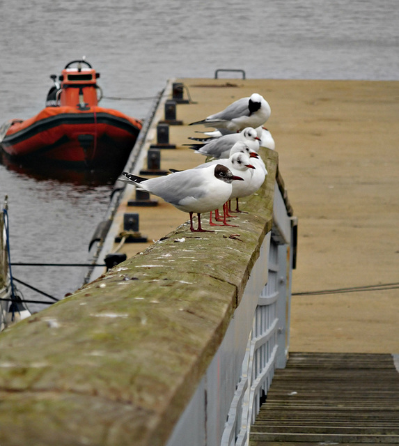 embarquement immédiat