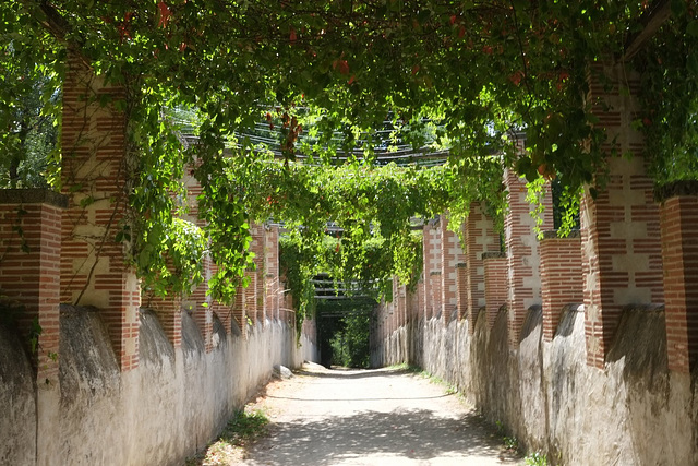 Chemin sous Pergolas - Parc de la Garenne Lemot